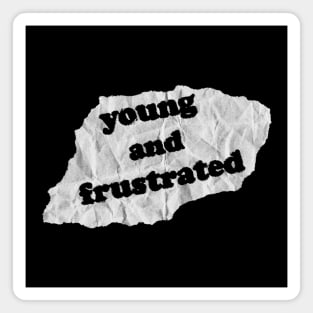 Young And Frustrated Magnet